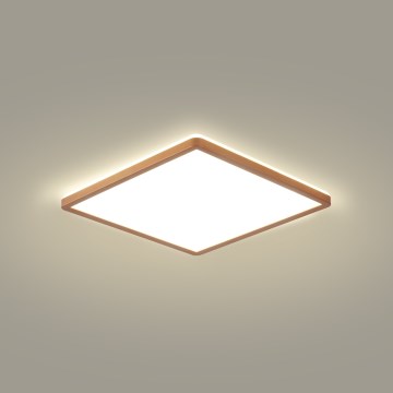 Brilagi - Plafonieră LED pentru baie ULTRA SLIM LED/18W/230V 30x30 cm roz auriu IP54