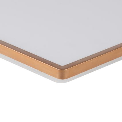 Brilagi - Plafonieră LED pentru baie Ultra Slim, 24 W, 230 V, 42 x 42 cm, auriu roz, IP54