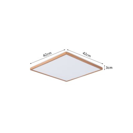 Brilagi - Plafonieră LED pentru baie Ultra Slim, 24 W, 230 V, 42 x 42 cm, auriu roz, IP54