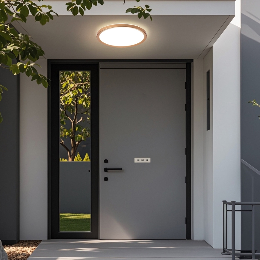 Brilagi - Plafonieră LED pentru baie ULTRA SLIM, 24W/230V, Ø 42 cm, aur roz, IP54