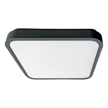 Brilagi - Plafonieră LED pentru baie ZENNA, 18 W, 230 V, 28,5 x 28,5 cm, IP44, antracit