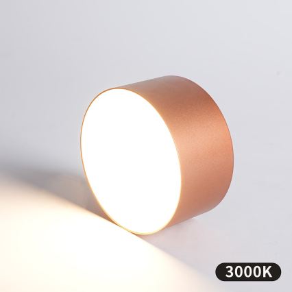 BRILAGI - Plafonieră LED de exterior FORIS LED/14W/230V Ø 12 cm culoare bronz IP44