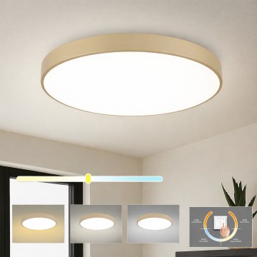 Brilagi - Plafonieră LED POOL, 100W, 230V, 3000/4000/6000K, Ø 80 cm, bej