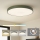 Brilagi Plafonieră LED POOL, 100W, 230V, 3000/4000/6000K, Ø 80 cm, verde