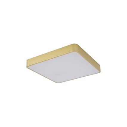 Brilagi - Plafonieră LED POOL, 36W, 230V, 3000/4000/6000K, 40x40 cm, auriu