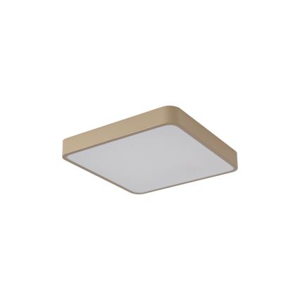 Brilagi - Plafonieră LED POOL, 36W, 230V, 3000/4000/6000K, 40x40 cm, bej