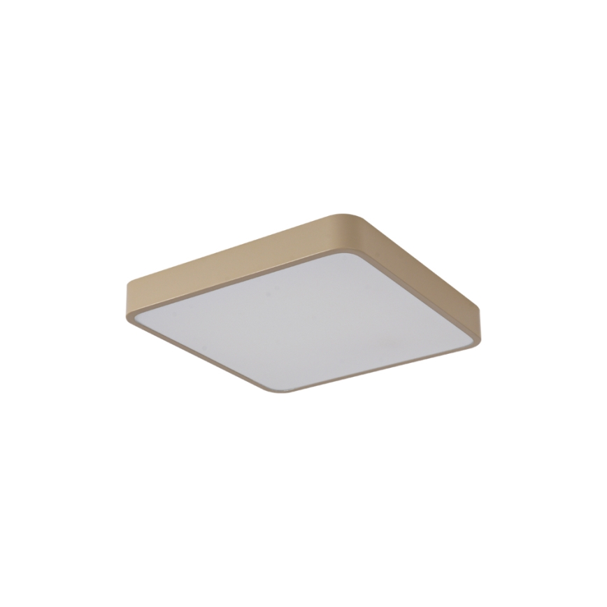Brilagi - Plafonieră LED POOL, 36W, 230V, 3000/4000/6000K, 40x40 cm, bej