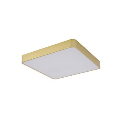 Brilagi - Plafonieră LED POOL, 48 W, 230 V, 3000/4000/6000 K, 50 x 50 cm, aurie