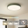 Brilagi - Plafonieră LED POOL, 48 W, 230 V, 3000/4000/6000 K, Ø 40 cm, verde