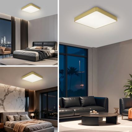 Brilagi - Plafonieră LED POOL, 48 W, 230 V, 3000/4500/6000 K, 50 x 50 cm, aurie