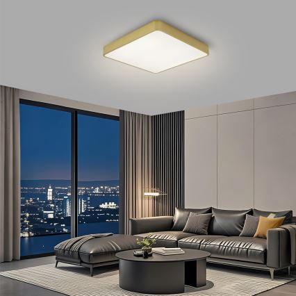 Brilagi - Plafonieră LED POOL, 48 W, 230 V, 3000/4500/6000 K, 50 x 50 cm, aurie