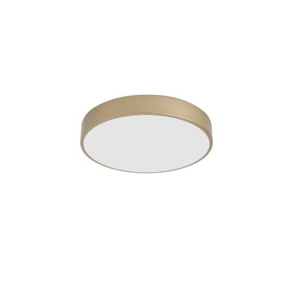 BRILAGI - Plafonieră LED POOL/48W/230V 3000/4000/6000K diametru 40 cm aurie