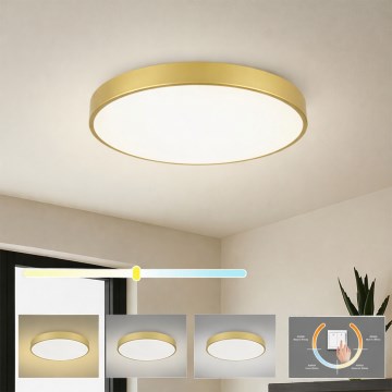 Brilagi - Plafonieră LED POOL, 60W/230V, 3000/4000/6000K, Ø 60 cm, auriu