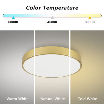 Brilagi - Plafonieră LED POOL, 60W/230V, 3000/4000/6000K, Ø 60 cm, auriu
