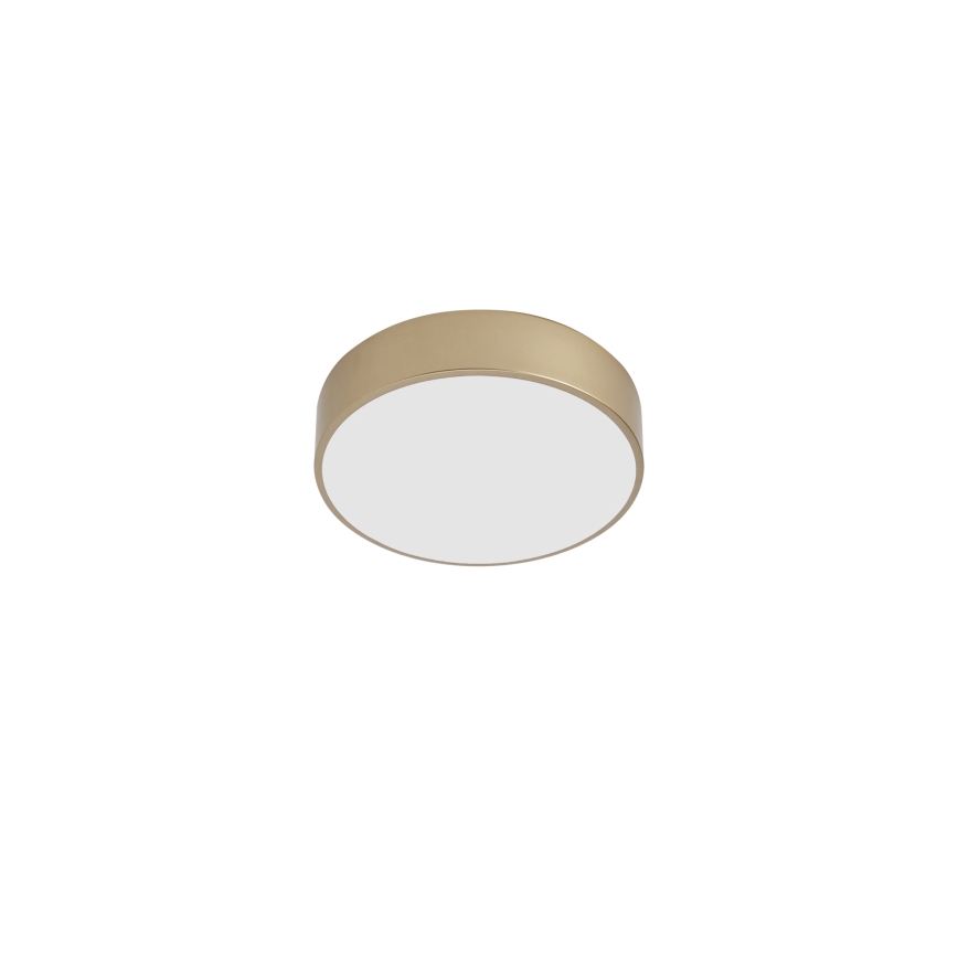 BRILAGI - Plafonieră LED POOL LED/24W/230V 3000/4000/6000K Ø 20 cm auriu