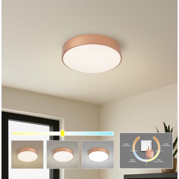Brilagi - Plafonieră LED POOL LED/36W/230V 3000/4000/6000K Ø 30 cm culoare bronz
