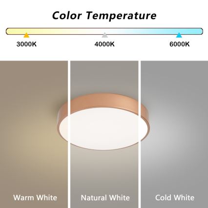 BRILAGI - Plafonieră LED POOL LED/36W/230V 3000/4000/6000K Ø 30 cm, finisaj cupru