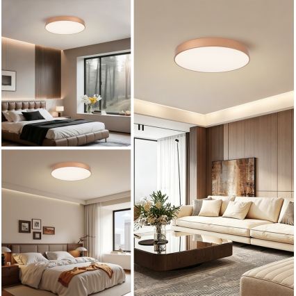 BRILAGI - Plafonieră LED POOL LED/60W/230V 3000/4000/6000K pr. 60 cm cupru
