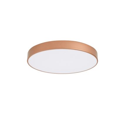 BRILAGI - Plafonieră LED POOL LED/60W/230V 3000/4000/6000K pr. 60 cm cupru