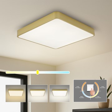Brilagi - Plafonieră LED POOL SQUARE, 36W, 230V, 3000/4000/6000K, 40x40 cm, auriu