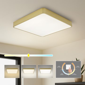 Brilagi - Plafonieră LED POOL SQUARE, 48 W, 230 V, 3000/4000/6000 K, 50 x 50 cm, aurie