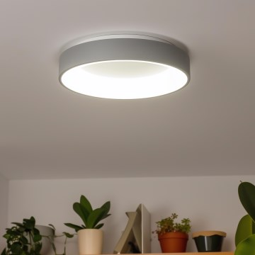 Brilagi - Plafonieră LED reglabilă FALCON, 80W, 230V, 3000-6500K, Ø 60 cm, gri + telecomandă