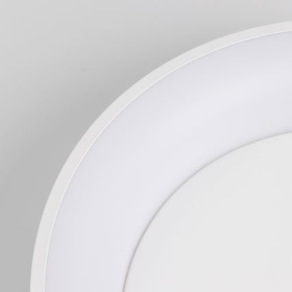 Brilagi - Plafonieră LED reglabilă FALCON LED/80W/230V 3000-6500K Ø 60 cm albă + telecomandă