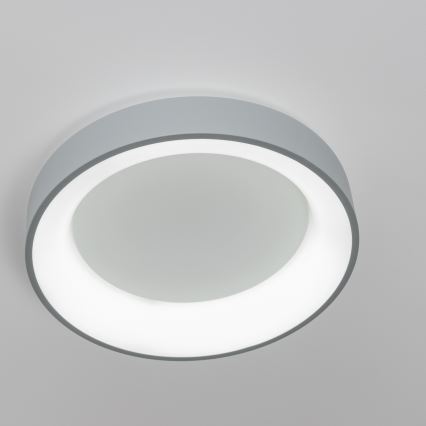 Brilagi - Plafonieră LED reglabilă FALCON, 80W, 230V, 3000-6500K, Ø 60 cm, gri + telecomandă