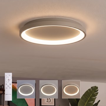 BRILAGI - Plafonieră LED reglabilă FALCON SLIM LED/42W/230V 3000-6500K Ø 50 cm bej + telecomandă