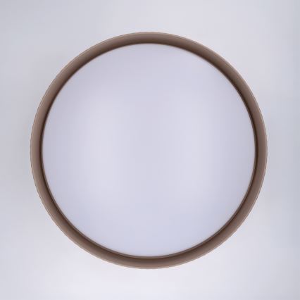 Brilagi - Plafonieră LED reglabilă LUCIA LED/60W/230V 3000-6500K Ø 59 cm taupe + telecomandă