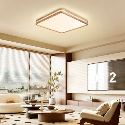 Brilagi - Plafonieră LED reglabilă MOLINA SQUARE LED/80W/230V 3000-6000K stejar 60x60 cm + telecomandă