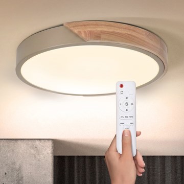 BRILAGI - Plafonieră LED reglabilă PILANA LED/48W/230V 3000-6500K stejar/bej diam. 40 cm + telecomandă