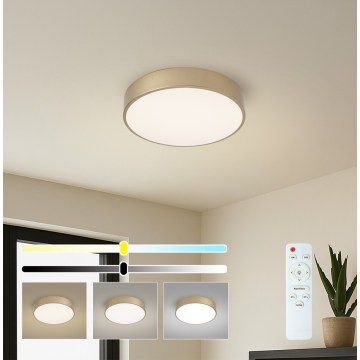 Brilagi - Plafonieră LED reglabilă POOL LED/36W/230V 3000-6000K diam. 30 cm auriu + telecomandă