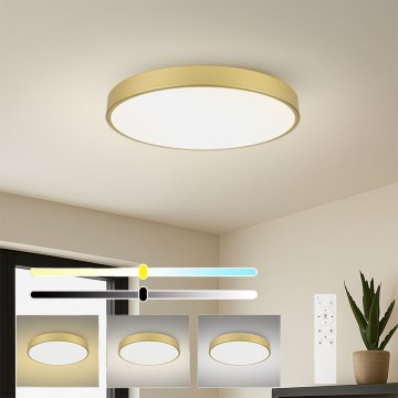 Brilagi - Plafonieră LED reglabilă POOL SMART LED/100W/230V 3000-6000K 80 cm aurie Wi-Fi Tuya + telecomandă