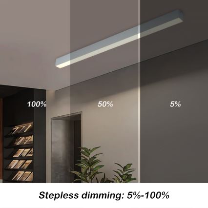 Brilagi - Plafonieră LED reglabilă SLEEKLINE SMART LED/40W/230V 3000-6000K Wi-Fi Tuya argintie + telecomandă