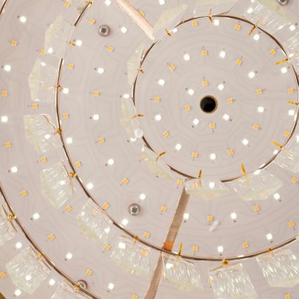 BRILAGI - Lampă de tavan LED dimmabilă SPECTRA LED/45W/230V 3000-6000K diam. 48 cm aurie + telecomandă