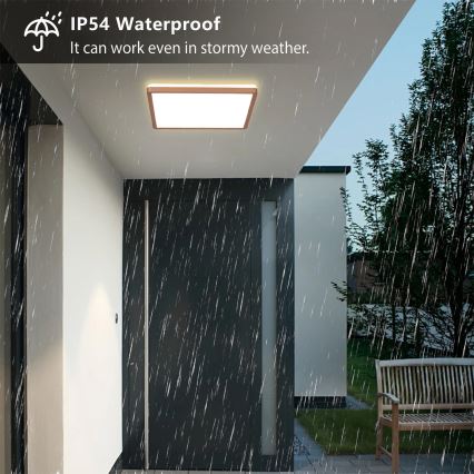 Brilagi - Plafonieră LED pentru baie ULTRA SLIM LED/18W/230V 30x30 cm roz auriu IP54