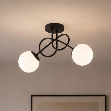 Brilagi - Plafonieră MILO 2xE27/60W/230V negru