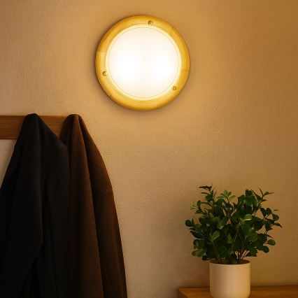 Brilagi - Plafonieră ORBIS 1xE27/60W/230V Ø 30 cm, pin