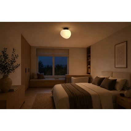 BRILAGI - Plafonieră PEBBLES 1xE27/40W/230V Ø 20 cm neagră