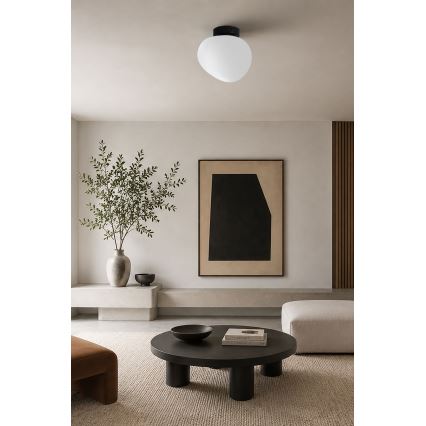 BRILAGI - Plafonieră PEBBLES 1xE27/40W/230V Ø 20 cm neagră