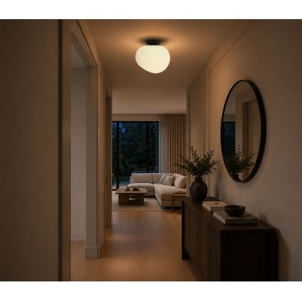 BRILAGI - Plafonieră PEBBLES 1xE27/40W/230V Ø 30 cm neagră