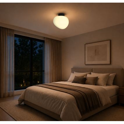 BRILAGI - Plafonieră PEBBLES 1xE27/40W/230V Ø 30 cm neagră