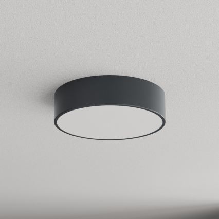 Brilagi - Plafonieră de baie CLARE 2xE27/24W/230V Ø 30 cm antracit IP54