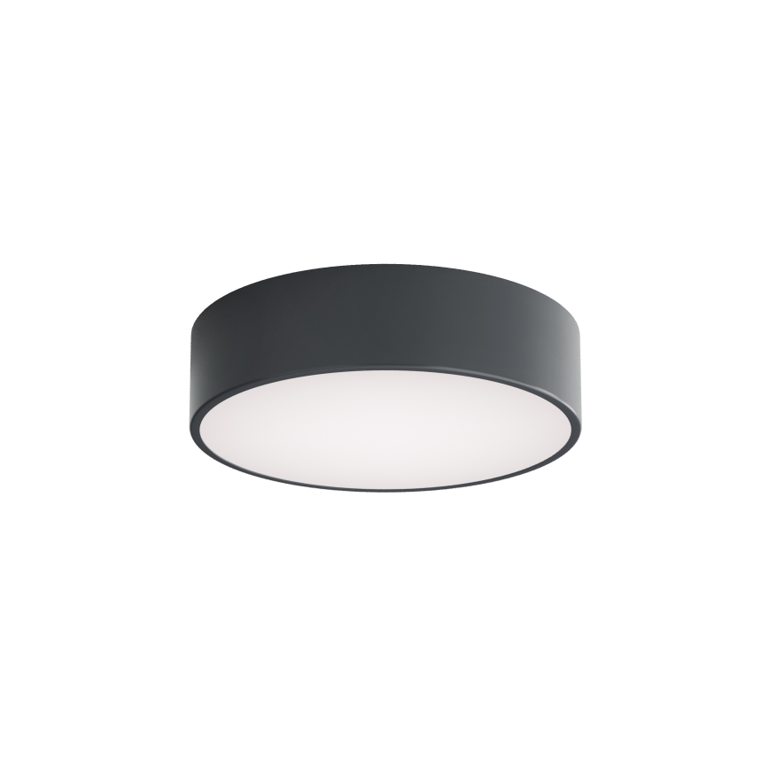 Brilagi - Plafonieră de baie CLARE 2xE27/24W/230V Ø 30 cm antracit IP54