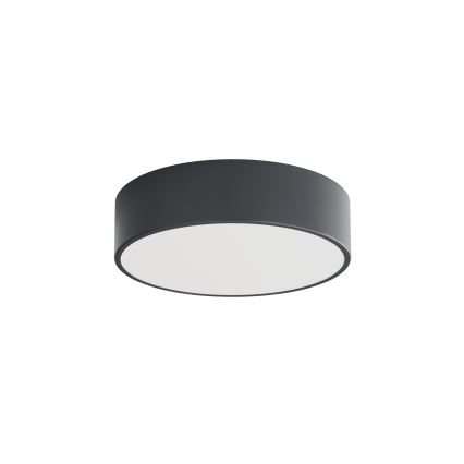 Brilagi - Plafonieră de baie CLARE 2xE27/24W/230V Ø 30 cm antracit IP54