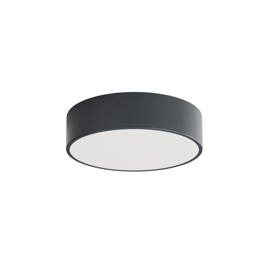 Brilagi - Plafonieră de baie CLARE 2xE27/24W/230V Ø 30 cm antracit IP54