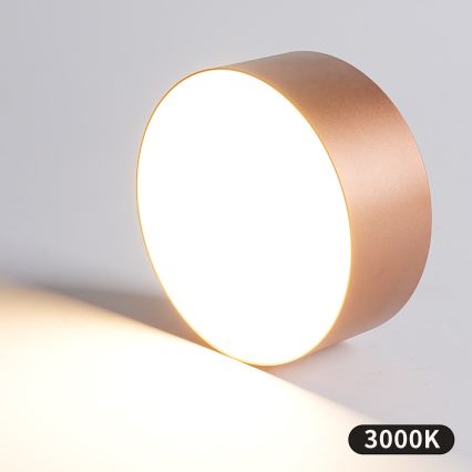 BRILAGI - Plafonieră pentru baie FORIS LED/20W/230V Ø 15 cm bronz IP44 CRI 90