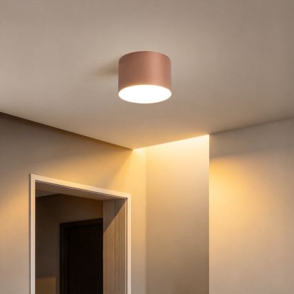 BRILAGI - Plafonieră pentru baie FORIS LED/9W/230V Ø 9 cm bronz IP44 CRI 90
