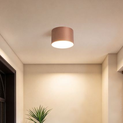 BRILAGI - Plafonieră pentru baie FORIS LED/9W/230V Ø 9 cm bronz IP44 CRI 90